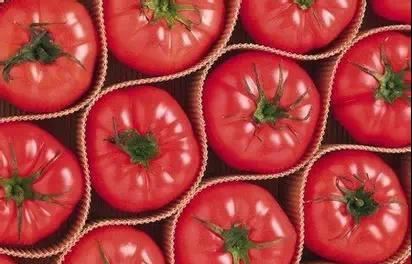 Tswj Kev Tso Tawm Cov Txheej Txheem Ntawm Sodium Caseinate Ntawm Lycopene